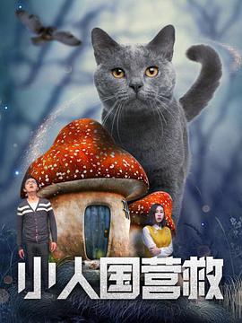 少妇高潮视频在线观看